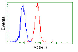 SORD Antibody in Flow Cytometry (Flow)