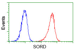 SORD Antibody in Flow Cytometry (Flow)