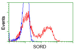 SORD Antibody in Flow Cytometry (Flow)