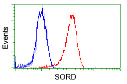 SORD Antibody in Flow Cytometry (Flow)