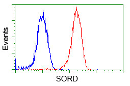 SORD Antibody in Flow Cytometry (Flow)