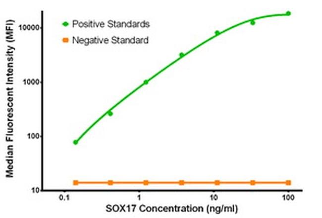 SOX17 Antibody in Luminex (LUM)