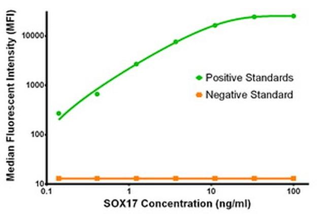 SOX17 Antibody in Luminex (LUM)