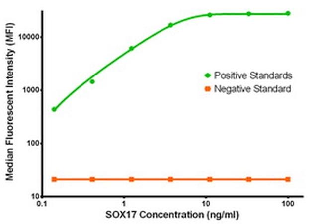 SOX17 Antibody in Luminex (LUM)