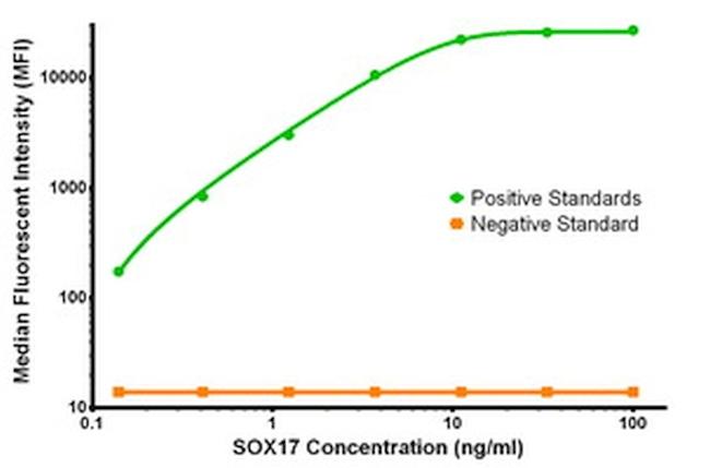 SOX17 Antibody in Luminex (LUM)