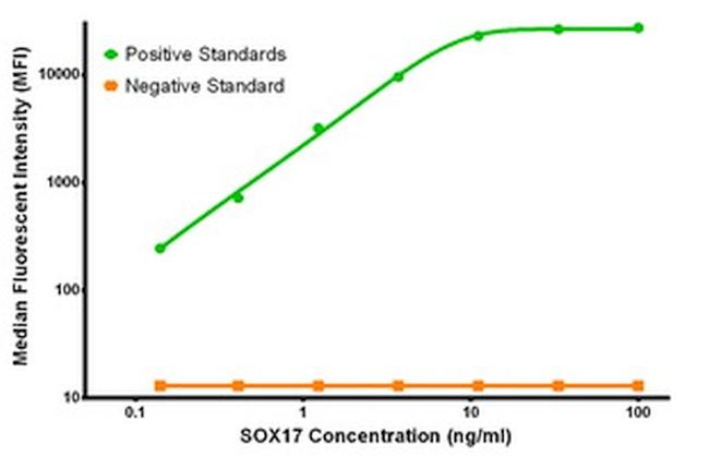 SOX17 Antibody in Luminex (LUM)