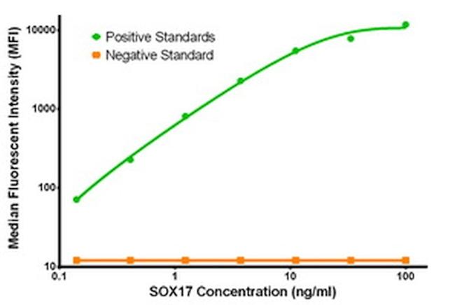 SOX17 Antibody in Luminex (LUM)