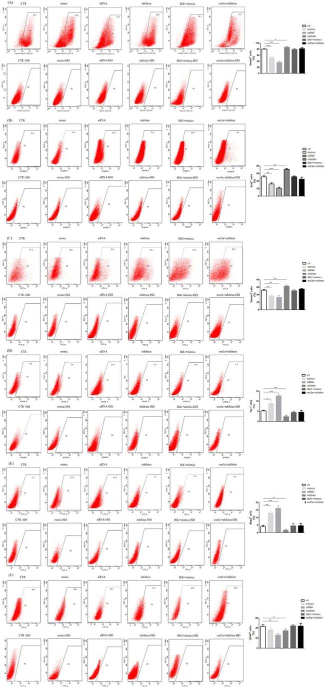 SOX2 Antibody in Flow Cytometry (Flow)