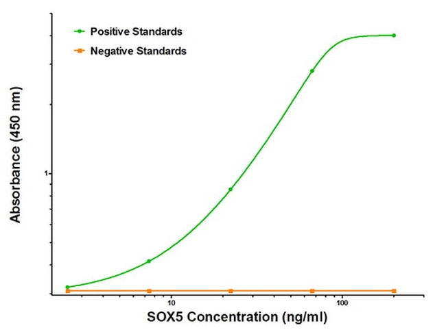 SOX5 Antibody in ELISA (ELISA)