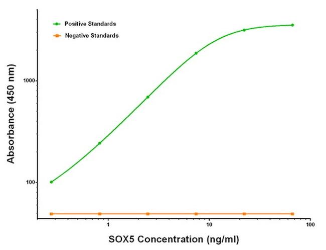 SOX5 Antibody in Luminex (LUM)