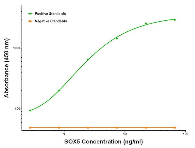 SOX5 Antibody in Luminex (LUM)