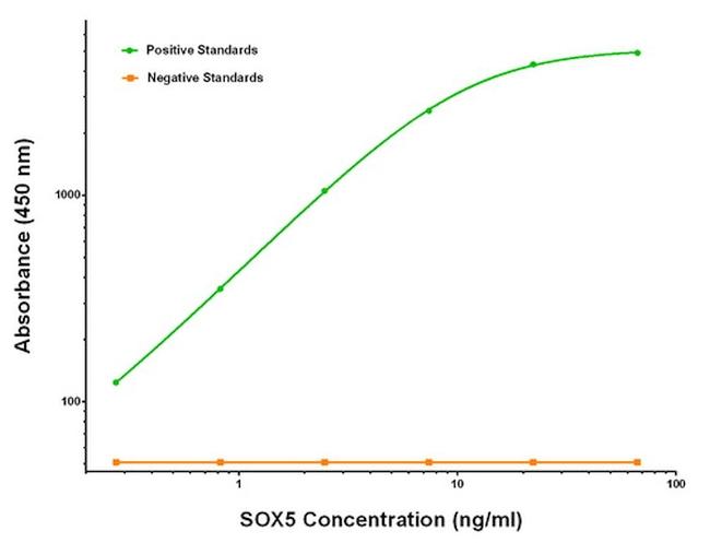 SOX5 Antibody in Luminex (LUM)