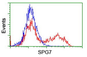 SPG7 Antibody in Flow Cytometry (Flow)