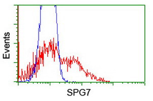 SPG7 Antibody in Flow Cytometry (Flow)