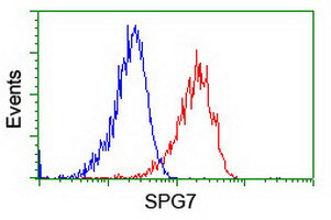 SPG7 Antibody in Flow Cytometry (Flow)