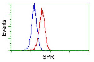 SPR Antibody in Flow Cytometry (Flow)