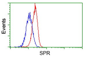 SPR Antibody in Flow Cytometry (Flow)