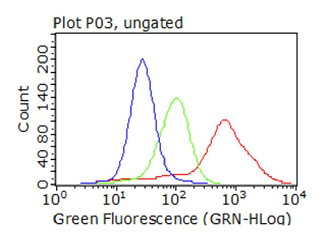 SQSTM1 Antibody in Flow Cytometry (Flow)