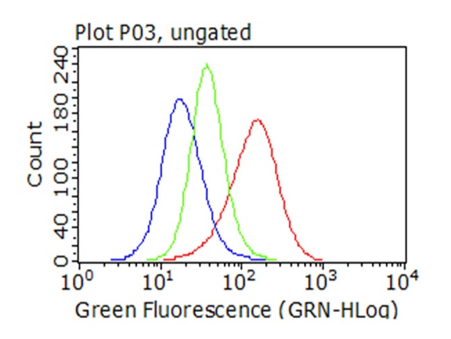 SQSTM1 Antibody in Flow Cytometry (Flow)