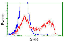 SRR Antibody in Flow Cytometry (Flow)