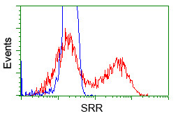 SRR Antibody in Flow Cytometry (Flow)