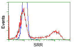 SRR Antibody in Flow Cytometry (Flow)