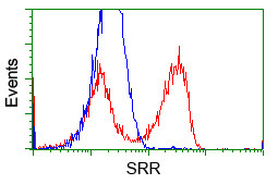 SRR Antibody in Flow Cytometry (Flow)