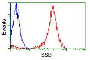 SSB Antibody in Flow Cytometry (Flow)