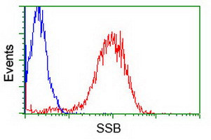 SSB Antibody in Flow Cytometry (Flow)