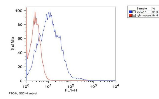 SSEA1 Antibody in Flow Cytometry (Flow)