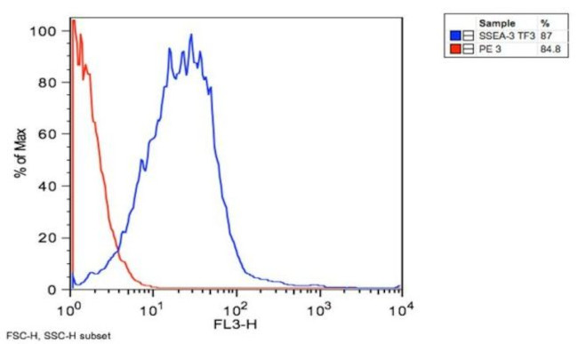 SSEA3 Antibody in Flow Cytometry (Flow)