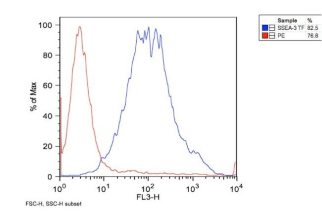 SSEA3 Antibody in Flow Cytometry (Flow)