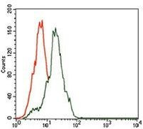 Somatostatin Antibody in Flow Cytometry (Flow)