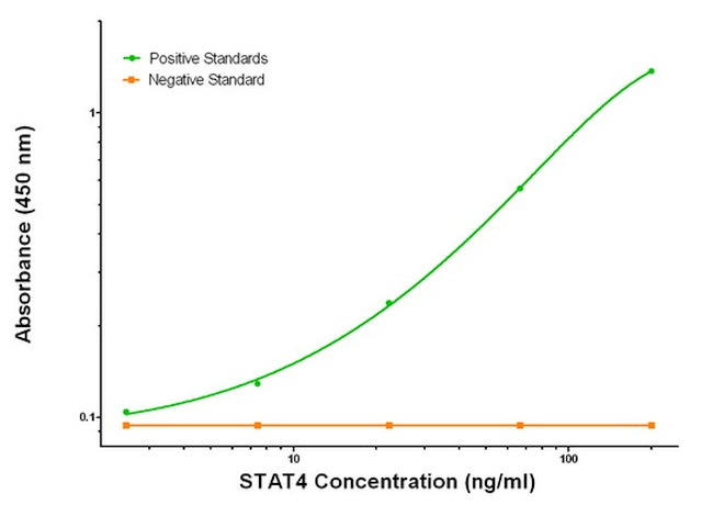 STAT4 Antibody in ELISA (ELISA)