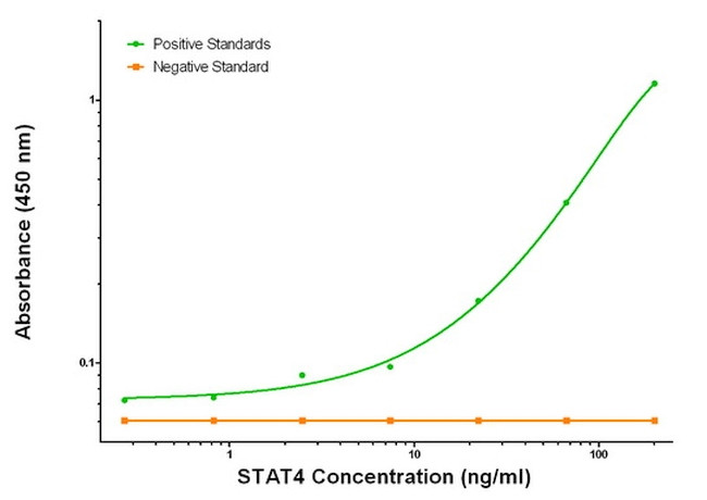 STAT4 Antibody in ELISA (ELISA)