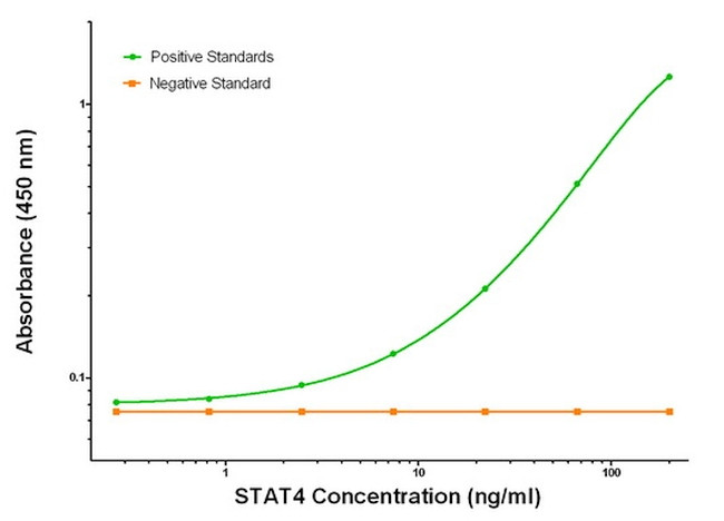 STAT4 Antibody in ELISA (ELISA)