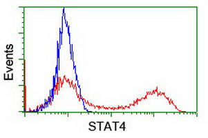 STAT4 Antibody in Flow Cytometry (Flow)