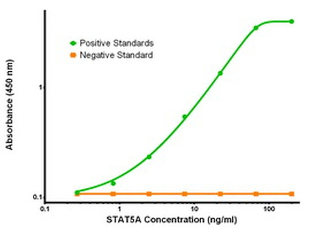 STAT5A Antibody in ELISA (ELISA)