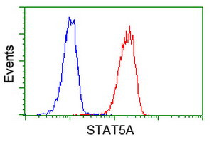 STAT5A Antibody in Flow Cytometry (Flow)