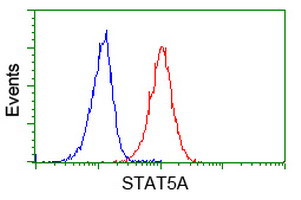 STAT5A Antibody in Flow Cytometry (Flow)
