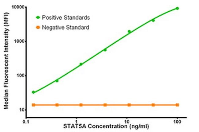 STAT5A Antibody in Luminex (LUM)