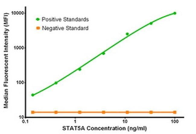 STAT5A Antibody in Luminex (LUM)