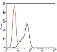 STAT5 alpha Antibody in Flow Cytometry (Flow)