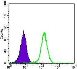 LKB1 Antibody in Flow Cytometry (Flow)