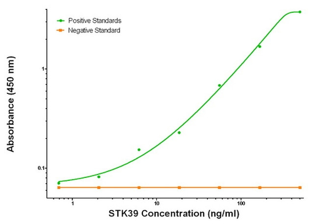 STK39 Antibody in ELISA (ELISA)