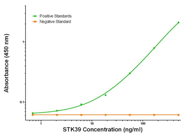 STK39 Antibody in ELISA (ELISA)