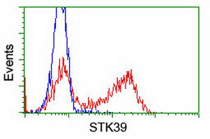 STK39 Antibody in Flow Cytometry (Flow)