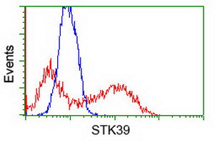 STK39 Antibody in Flow Cytometry (Flow)