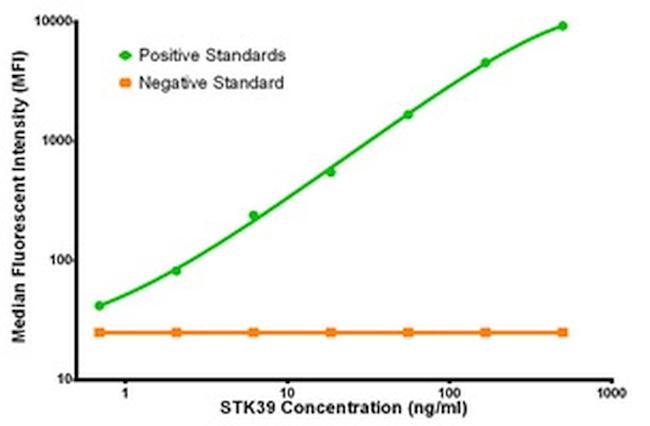 STK39 Antibody in Luminex (LUM)