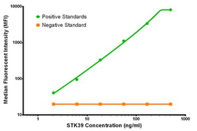 STK39 Antibody in Luminex (LUM)